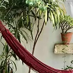 Quiet And Charming - With Yard, Center * Lisboa