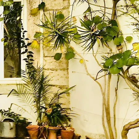 Quiet And Charming - With Yard, Center Apartment Lisbon