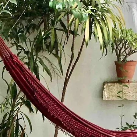 Quiet And Charming - With Yard, Center * Lisbon